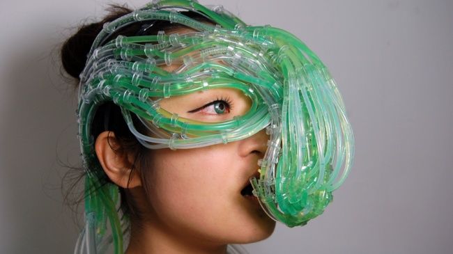 Algae Kwikku, Algae