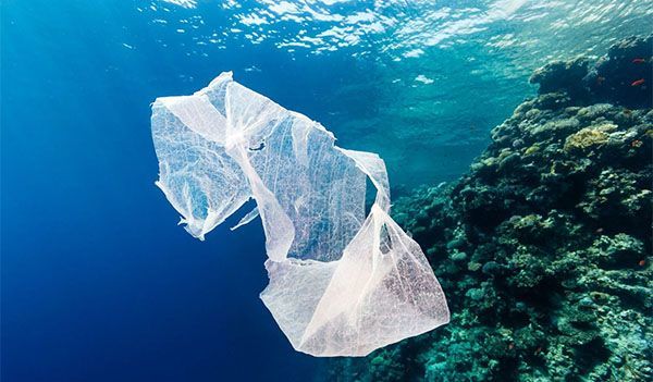 Bahaya dari sampah plastik Kwikku, Bahaya dari sampah plastik