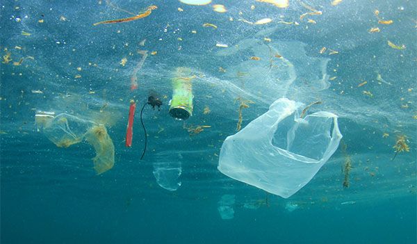 Tidak disetujui oleh produsen plastik Kwikku, Tidak disetujui oleh produsen plastik