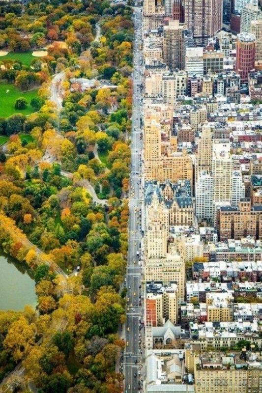 New York dipotret dari atas Tertata sangat rapi sehingga bisa saja orang yang melihat foto ini akan mengira bahwa ini adalah editan Kwikku, New York dipotret dari atas Tertata sangat rapi sehingga bisa saja orang yang melihat foto ini akan mengira bahwa ini adalah editan