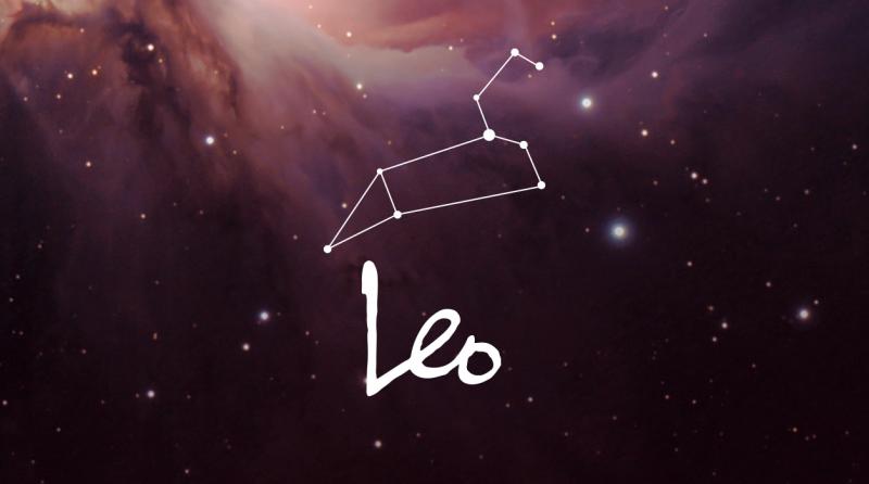 Leo Kwikku, Leo