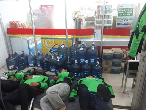 Wah ini kok tidurnya pada berjamaah gini yah Kwikku, Wah ini kok tidurnya pada berjamaah gini yah