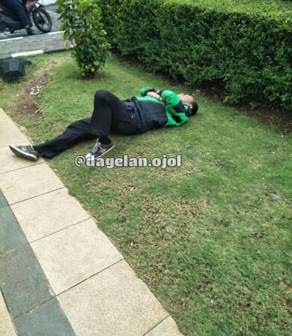 Tiduran di rerumputan biar empuk nih Kwikku, Tiduran di rerumputan biar empuk nih