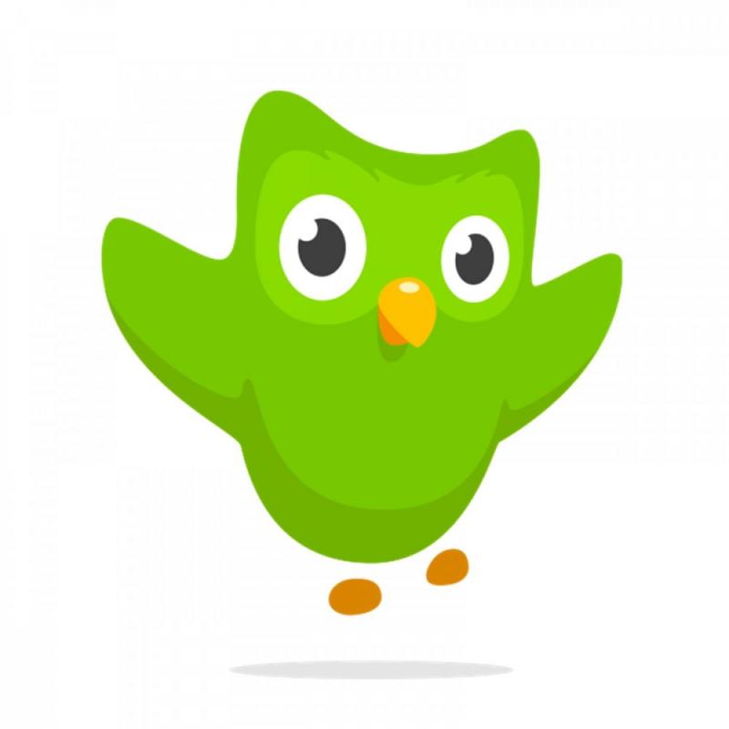 Duolingo Kwikku, Duolingo