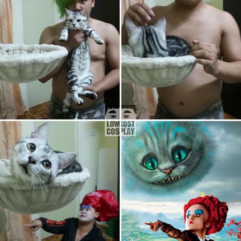 Hanya bermodalkan kucing dan kreatifitas Kalian bisa menjadi apapun yang kalian mau di dunia ini Kwikku, Hanya bermodalkan kucing dan kreatifitas Kalian bisa menjadi apapun yang kalian mau di dunia ini
