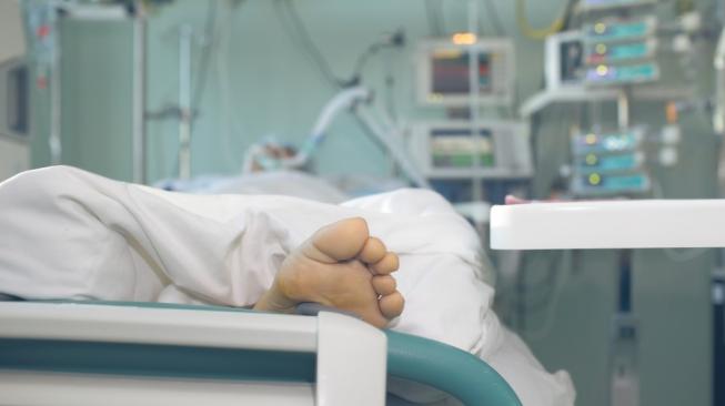 Penurunan fungsi organ tubuh dan penurunan sistem kekebalan tubuh Kwikku, Penurunan fungsi organ tubuh dan penurunan sistem kekebalan tubuh