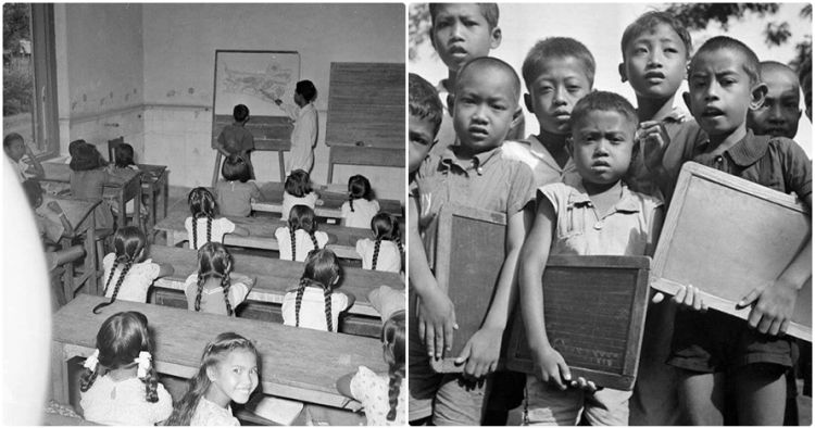Sekolah Kwikku, Sekolah