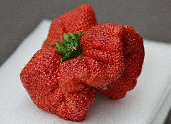 STRAWBERRY Kwikku, STRAWBERRY