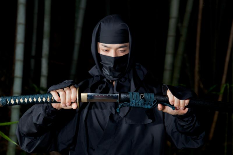 Ini Dia 5 Sebutan Lain untuk Para Ninja Kamu Harus Tahu