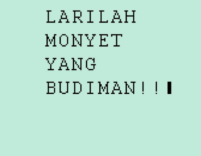Larilah monyet budiman!