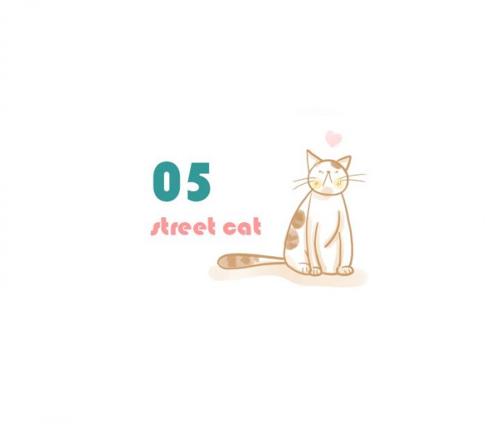 05 - STREET CAT